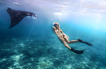 Manta Bay Snorkeling